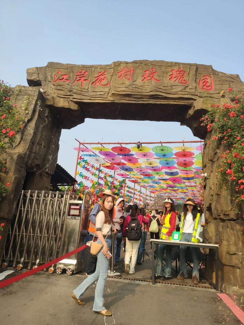 玫瑰小镇受欢迎缘由及多种进入途径，畅享种植乐趣与多彩玩法