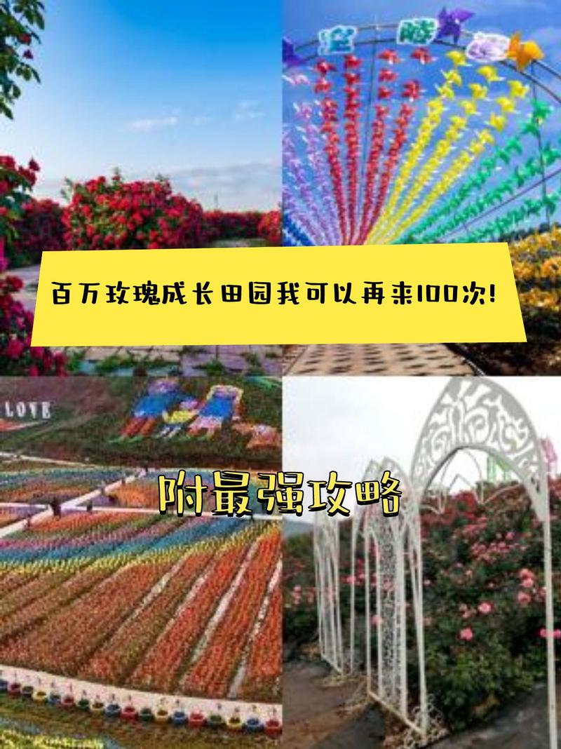 玫瑰小镇怎么进_玫瑰小镇玫瑰图鉴_玫瑰小镇的玫瑰有什么用