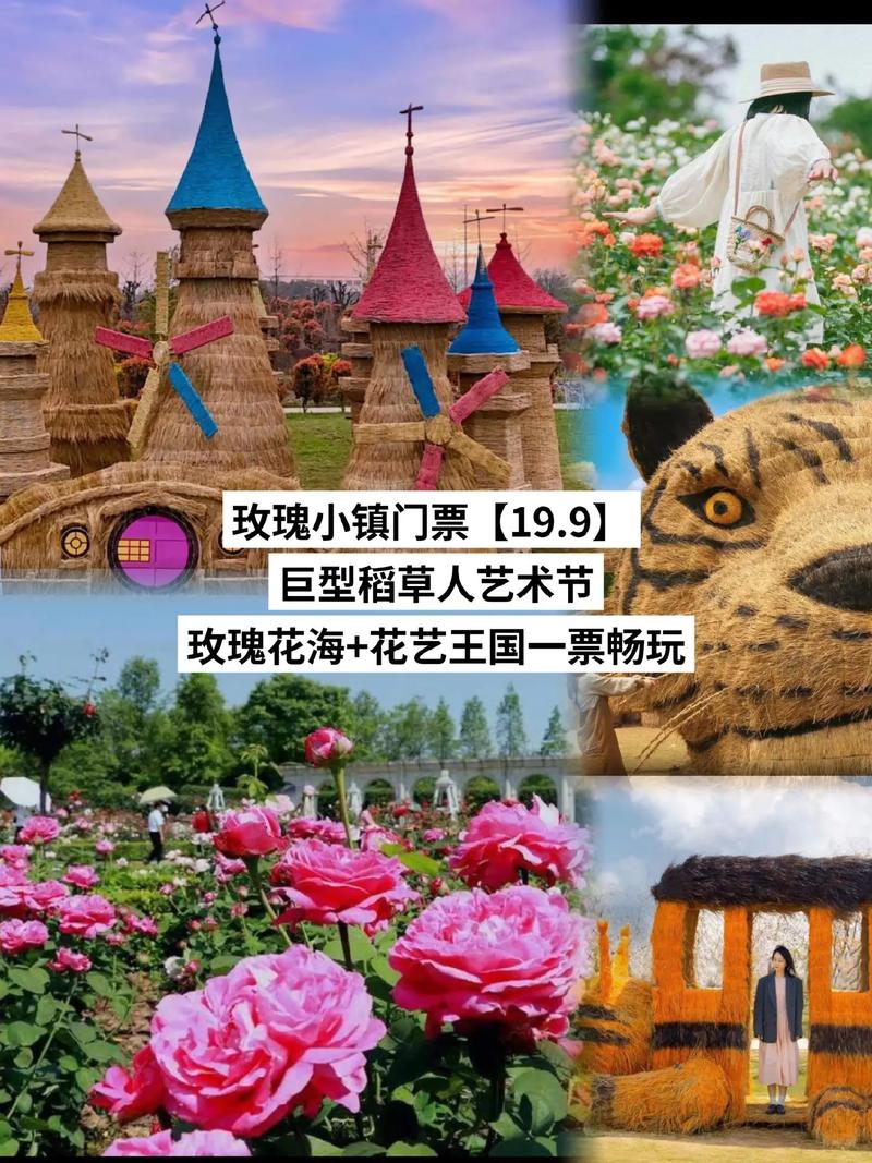 玫瑰小镇怎么进_玫瑰小镇的玫瑰有什么用_玫瑰小镇玫瑰图鉴