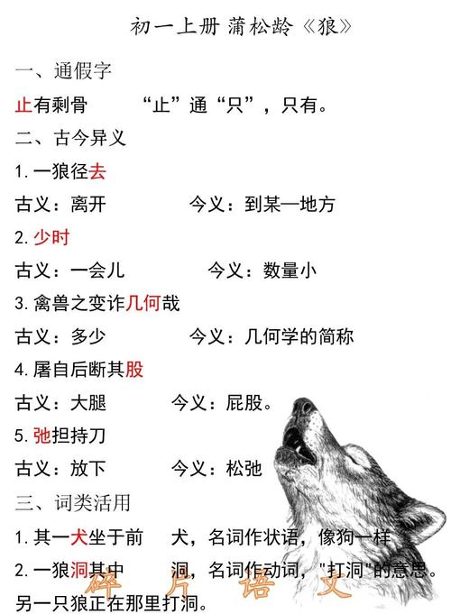 深入探寻汽车圈特殊名号点车之狼的由来与背后故事