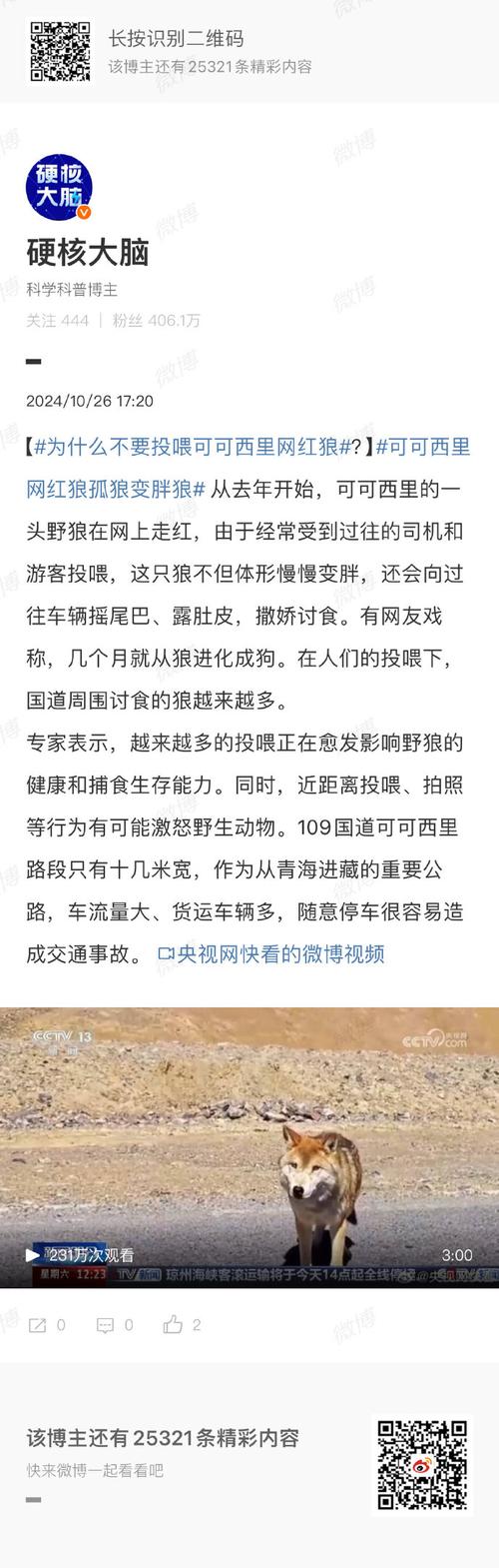 点车之狼_点车之狼_点车之狼