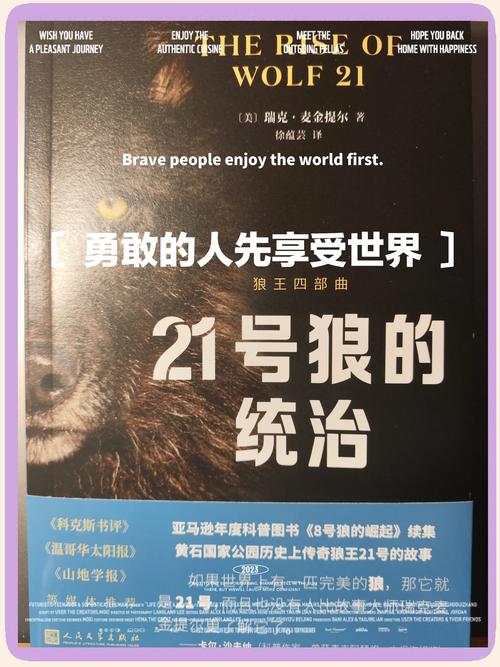 点车之狼_点车之狼_点车之狼