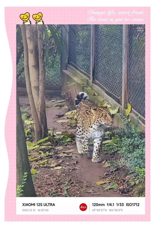 猎豹论坛_猎豹论坛论坛_猎豹车主论坛