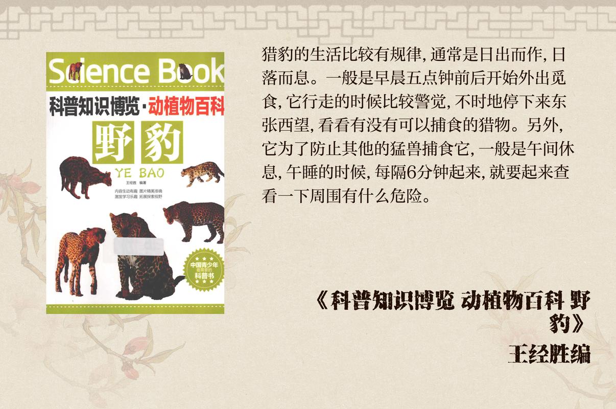 猎豹论坛_猎豹论坛论坛_猎豹车主论坛