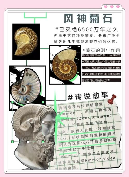 灵魂之抗体石_灵魂之抗体石怎么做_灵魂之抗体石怎么升级