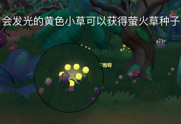 摩尔庄园中萤火草_摩尔庄园萤火草菜谱_摩尔庄园萤火草