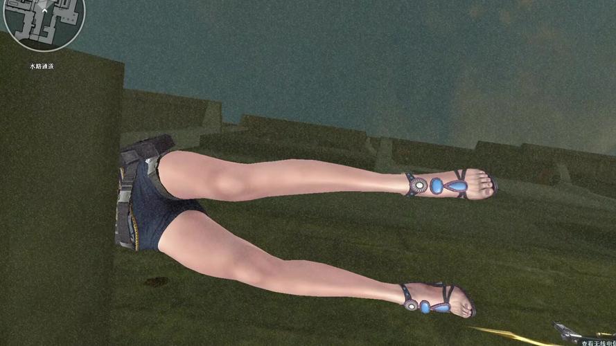 角色兰泽小说_cf兰角色_角色兰属性