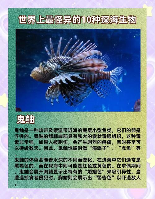 深海冒险电影_深海冒险_深海冒险游戏
