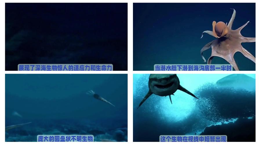 深海冒险游戏_深海冒险电影_深海冒险