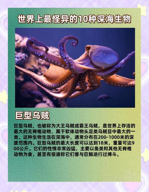 深海冒险电影_深海冒险_深海冒险游戏