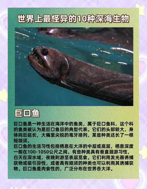 深海冒险游戏_深海冒险电影_深海冒险