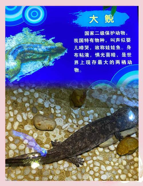 深海冒险电影_深海冒险游戏_深海冒险