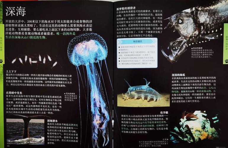 深海冒险_深海冒险电影_深海冒险游戏