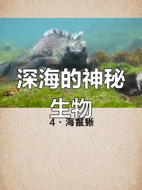 深海冒险电影_深海冒险_深海冒险游戏