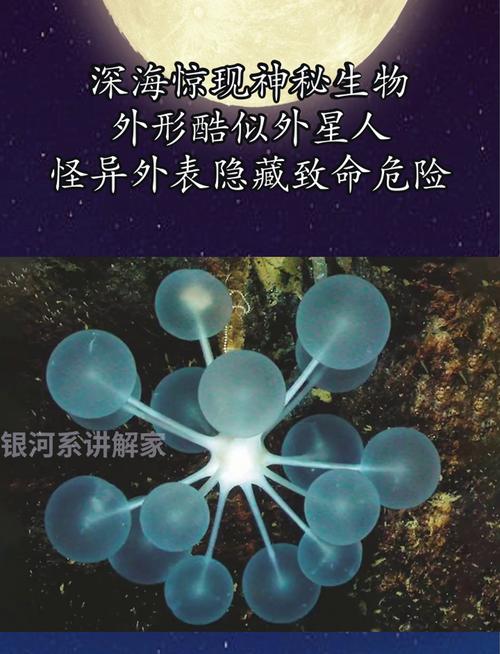 深海冒险电影_深海冒险_深海冒险游戏