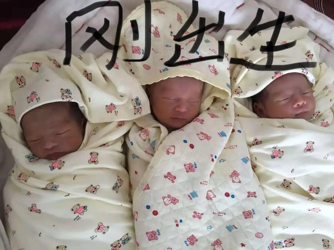 中国多胞胎9胞胎_中国八胞胎_中国多胞胎新闻