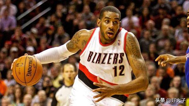 阿尔德里奇：NBA 卓越球员，开拓者时期书写辉煌篇章