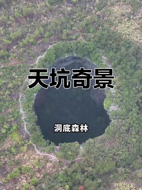 斗战神天坑树洞_斗战神天坑_斗战神天坑树洞