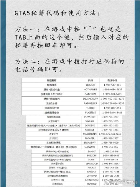 侠盗飞车汽车飞行秘籍_侠盗飞车6秘籍大全_秘籍侠盗飞车秘籍大全