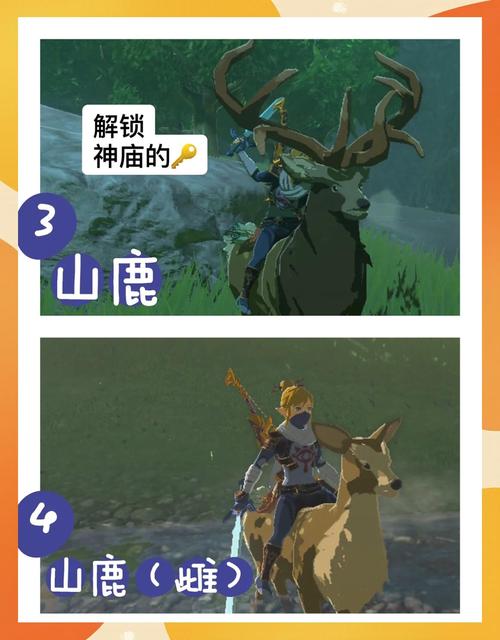 海马坐骑任务_魔兽海马坐骑_魔兽海马坐骑任务从哪里接