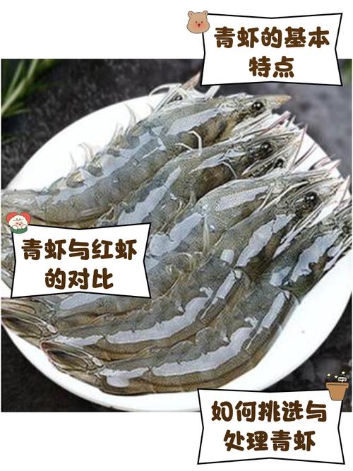 九阴真经青虾怎么获得？一文带你了解青虾基本信息