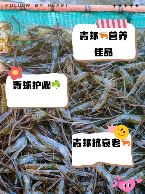 九阴真经青虾_天龙八部九阴神爪_九阳九阴之阴阳神功