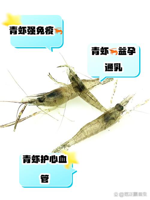 九阴真经青虾_天龙八部九阴神爪_九阳九阴之阴阳神功