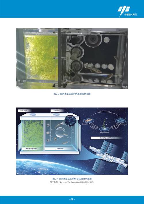 生化空间站怎么飞三楼_生化空间站_cf生化空间站bug教程