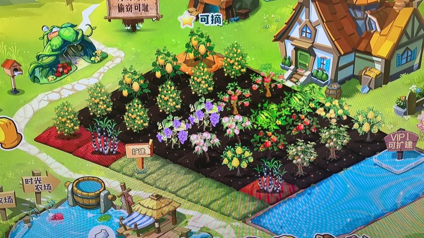 农场偷菜游戏哪个好玩_qq农场偷菜外挂_农场偷菜种菜游戏