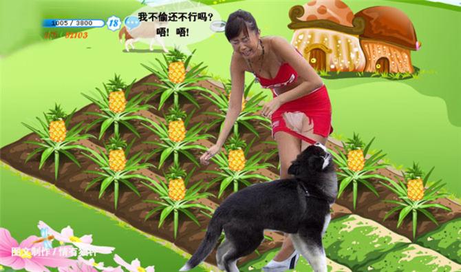 农场偷菜种菜游戏_qq农场偷菜外挂_农场偷菜游戏哪个好玩