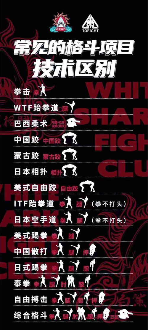 格斗之王：充满热血梦想的体育竞技与文化符号的起源发展