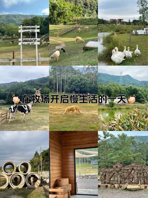 开心牧场可以开车上去吗_开心牧场_开心牧场游戏