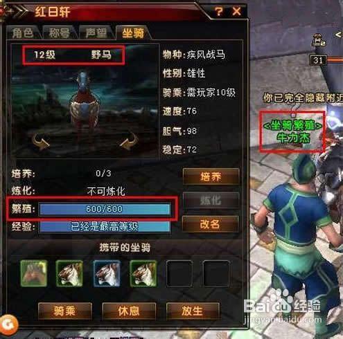 轩辕坐骑繁殖传奇怎么玩_轩辕传奇坐骑怎么繁殖_轩辕传奇生坐骑