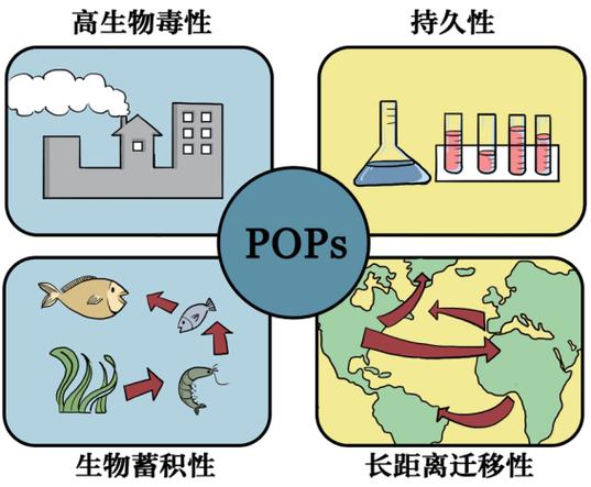 口袋图鉴4.16_口袋双子星图鉴_口袋双子星图鉴安卓