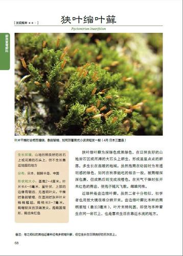 口袋双子星图鉴安卓_口袋双子星图鉴_口袋图鉴4.16