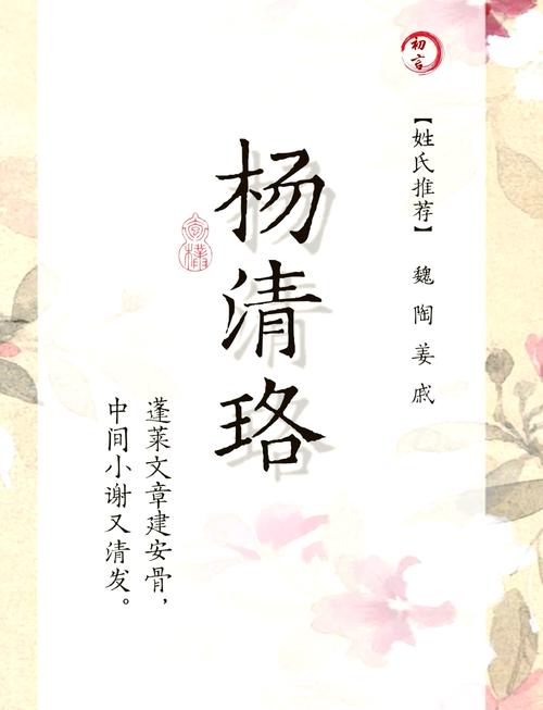 揭开落落名字之谜：诗意背后的家族深意与诸多疑问？