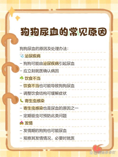 血狼犬_狗之血_血狗是什么意思