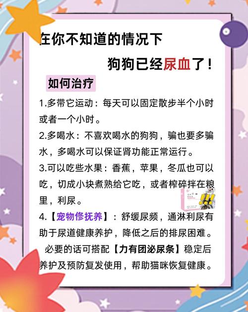 血狗是什么意思_血狼犬_狗之血