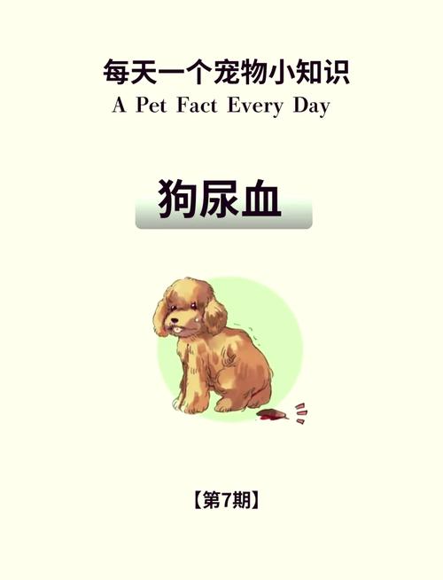 狗之血_血狼犬_血狗是什么意思