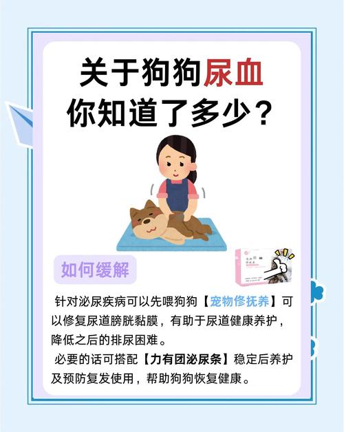 狗之血_血狼犬_血狗是什么意思