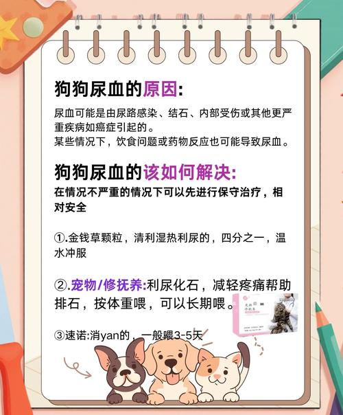 狗之血_血狼犬_血狗是什么意思