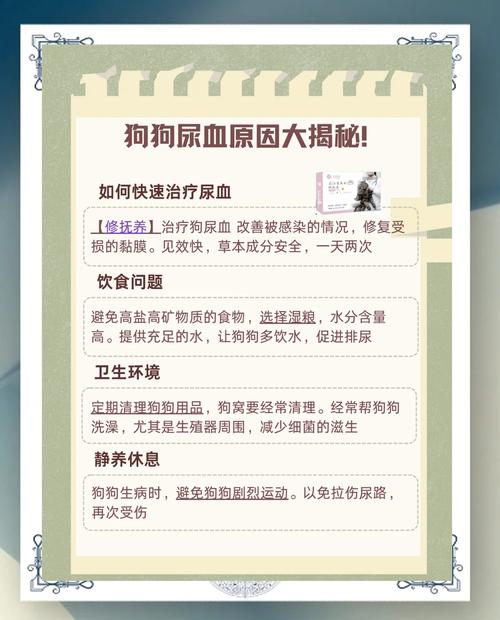 狗之血_血狗是什么意思_血狼犬