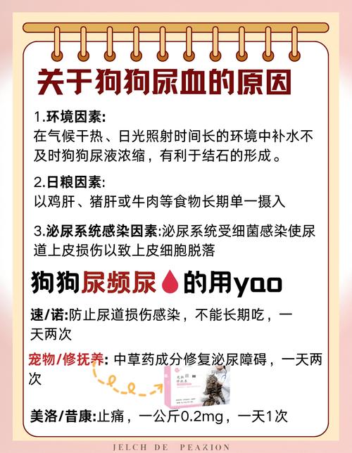 血狗是什么意思_血狼犬_狗之血
