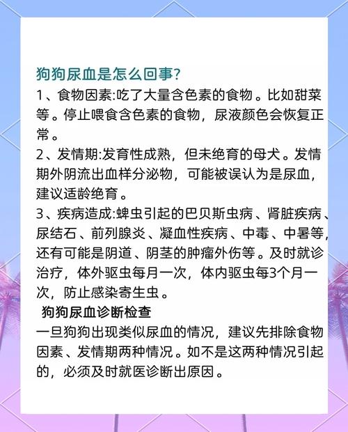 血狗是什么意思_血狼犬_狗之血