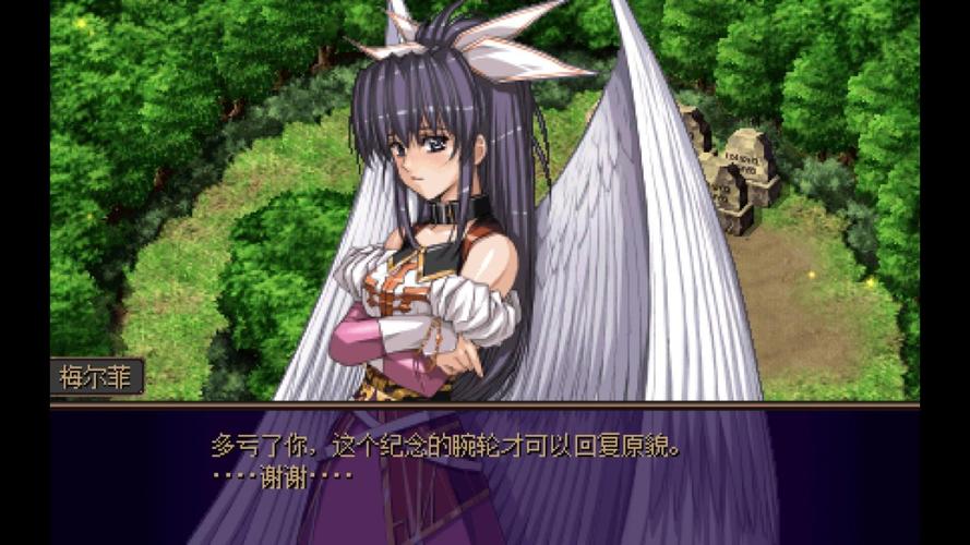 梦幻骑士psp和ps上区别_梦幻骑士 psp_梦幻骑士psp金手指