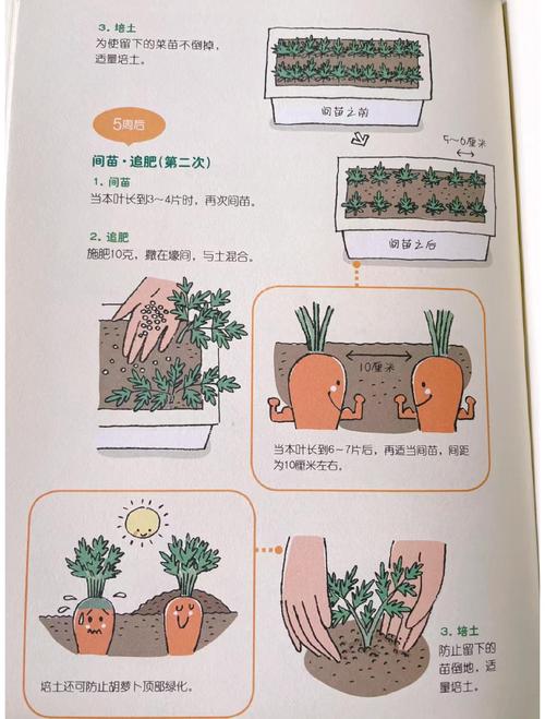 胡萝卜农场_萝卜农场图片_萝卜农场放单平台