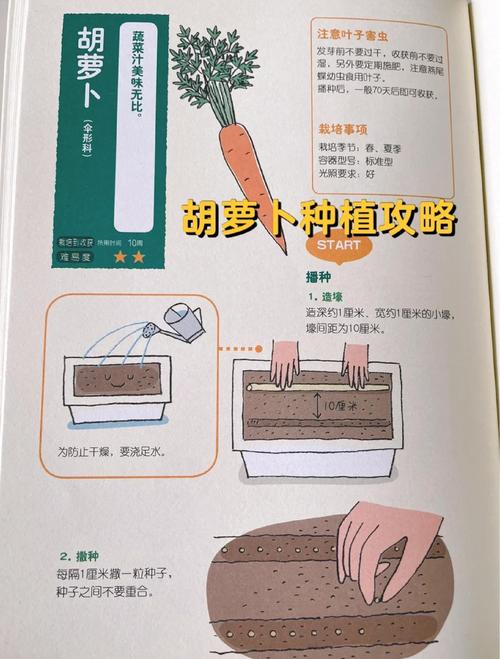 萝卜农场放单平台_萝卜农场图片_胡萝卜农场