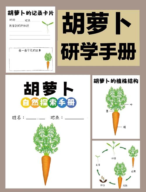 胡萝卜农场_萝卜农场图片_萝卜农场放单平台