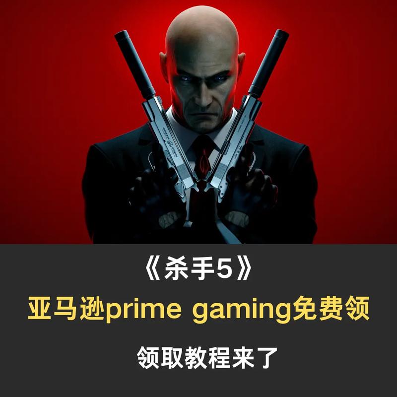 杀手5打不开_杀手打开物品栏_杀手打开一扇门周公解梦