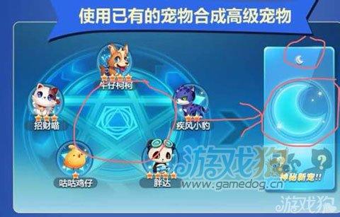 天天酷跑宠物大全_宠物酷跑大全图鉴_宠物酷跑大全下载安装